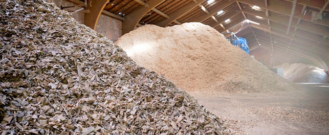 27-28 marca 2025 roku w Toruniu odbędzie się kolejna, już 14. edycja Forum Biomasy i RDF w Ciepłownictwie, Energetyce i Przemyśle.